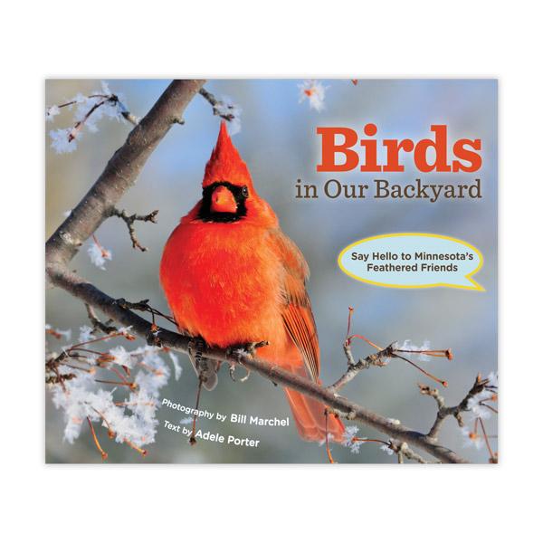 Birds in Our Backyard